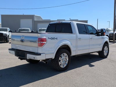 2013 Ford F-150 Platinum