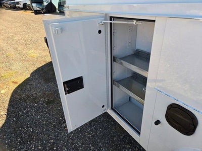 2025 Chevrolet Express Cutaway 3500 3500 Van 139"