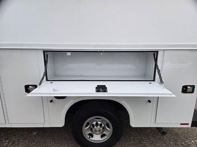 2025 Chevrolet Express Cutaway 3500 3500 Van 139"