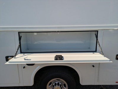 2025 Chevrolet Express Cutaway 3500 3500 Van 139"