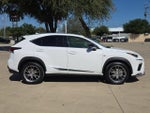 2019 Lexus NX 300 F SPORT