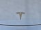 2021 Tesla MODEL 3 STANDARD RANGE