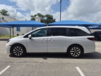 2025 Honda Odyssey EX-L