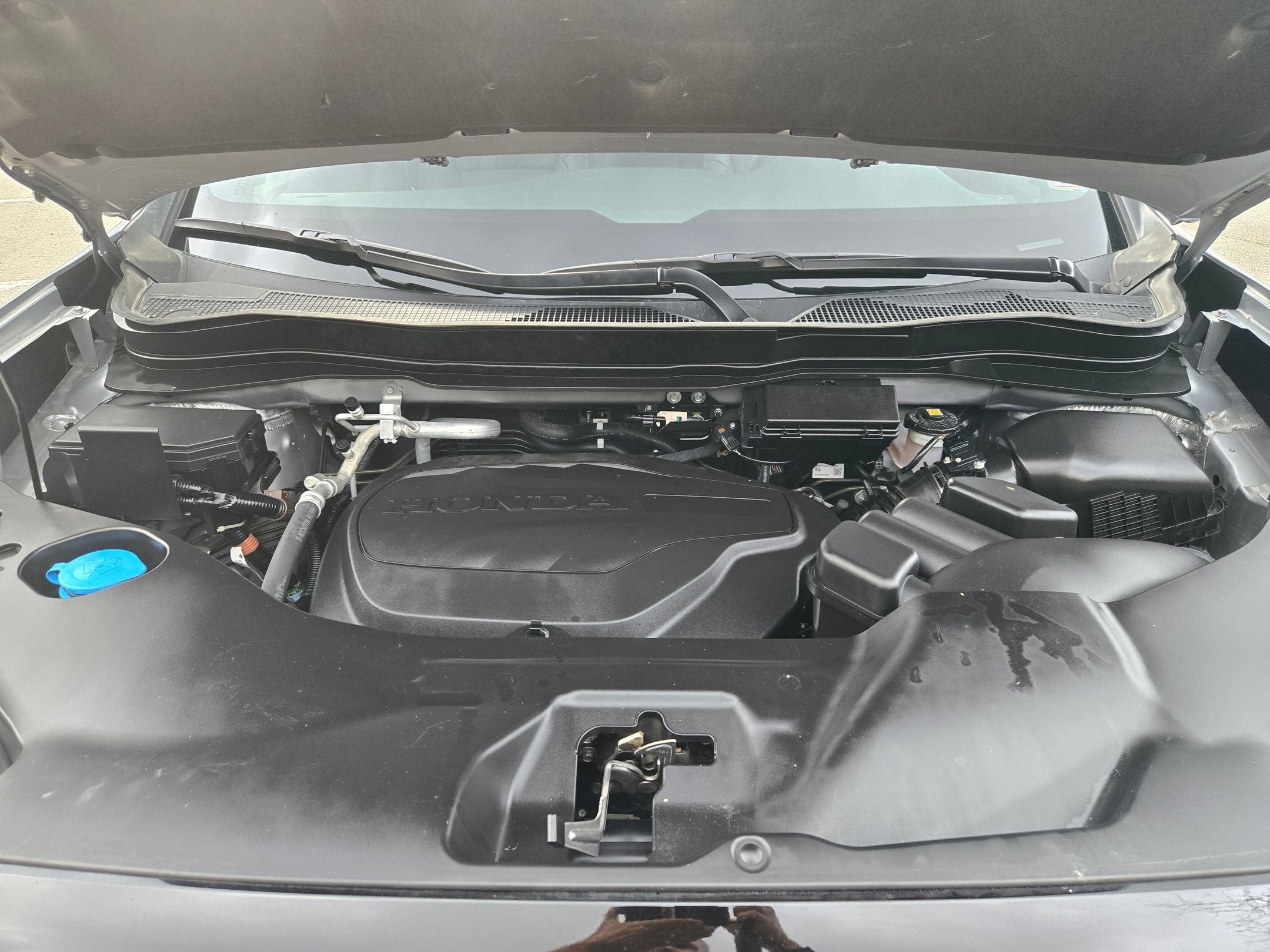 2024 Honda Passport TrailSport