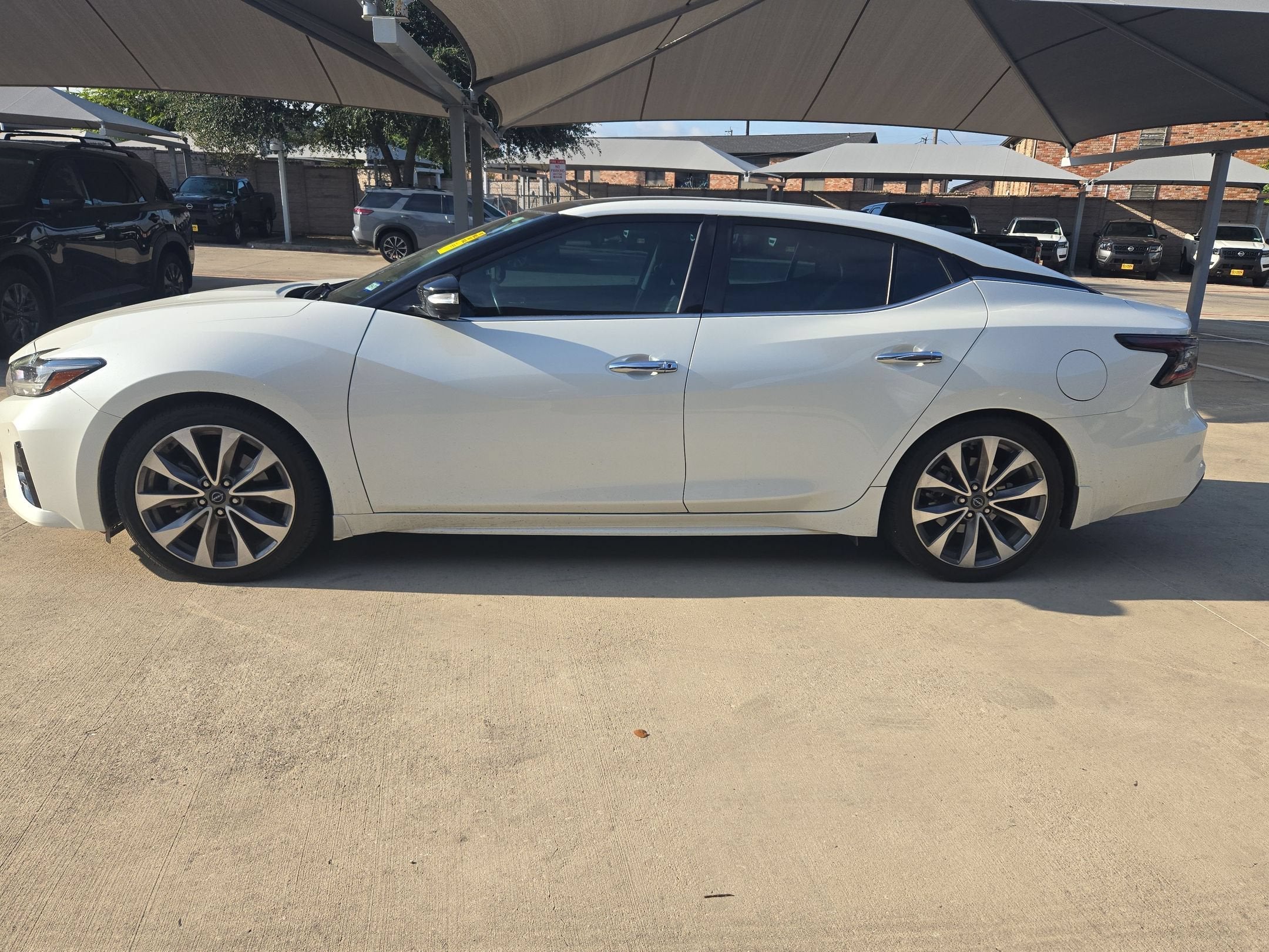 2023 Nissan Maxima Platinum